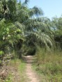 /album/photogallery/bushtrack-scene-makasutu-jpg/